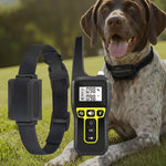 Hunde-Trainingshalsband mit Fernbedienung – 1000 m wasserdicht