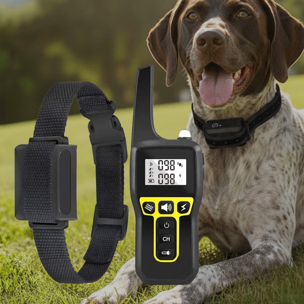 Hunde-Trainingshalsband mit Fernbedienung – 1000 m wasserdicht
