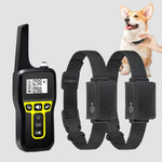 Hunde-Trainingshalsband mit Fernbedienung – 1000 m wasserdicht