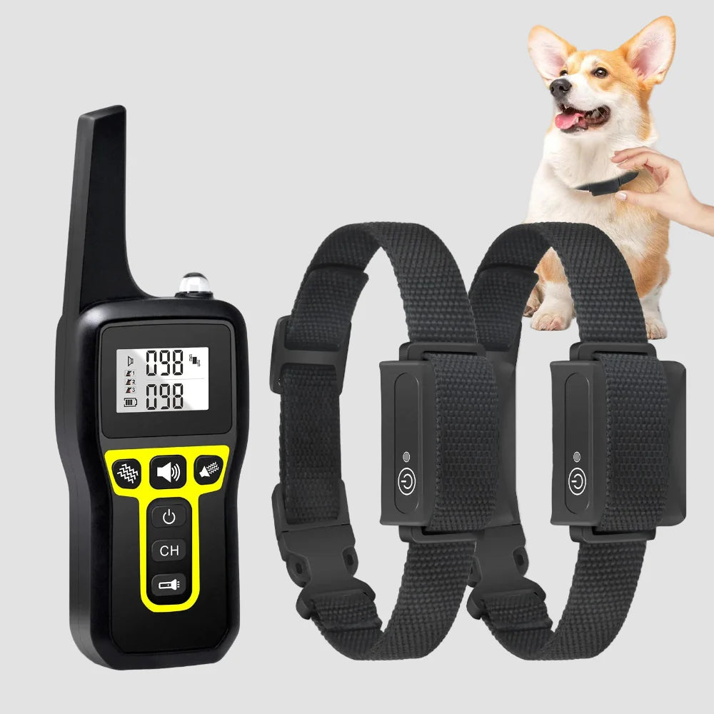 Hunde-Trainingshalsband mit Fernbedienung – 1000 m wasserdicht