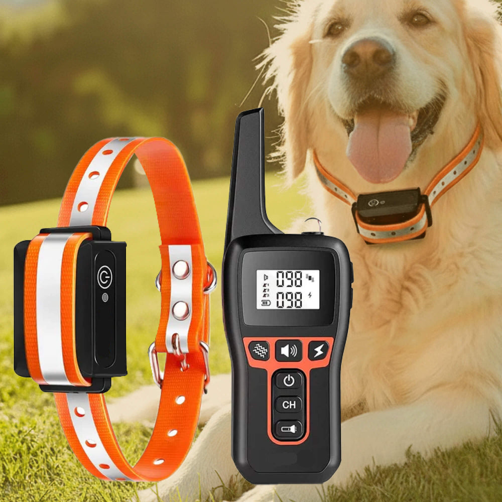 Hunde-Trainingshalsband mit Fernbedienung – 1000 m wasserdicht