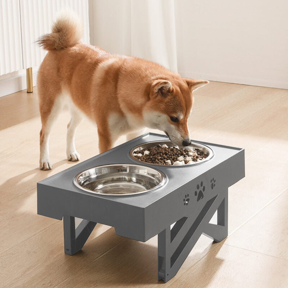 Verstellbare Hundenapfstation mit Rutschfester Basis für Futter und Wasser