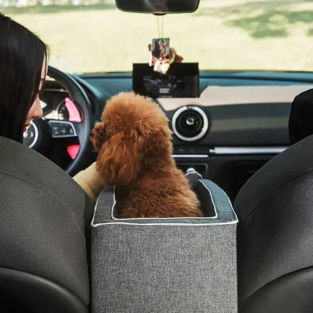 Hundesitz | Erhöhter Autositz | Sicherer Halt mit Gurten | PetSafe