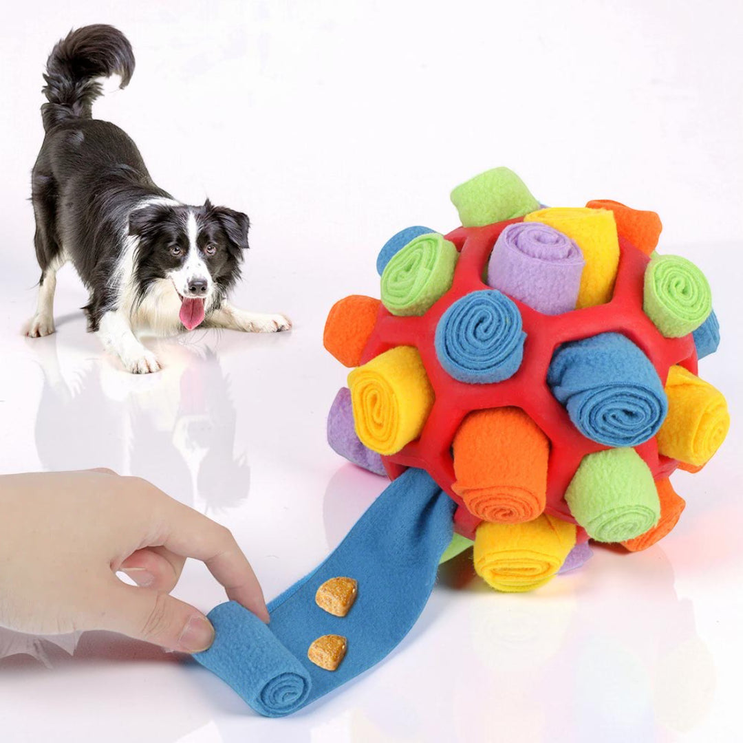 Interaktive Suchmatte für Hunde – Spaß und Intelligenztraining