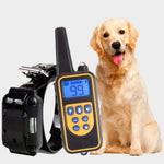 Wasserdichtes Hundetraining-Halsband mit Fernbedienung