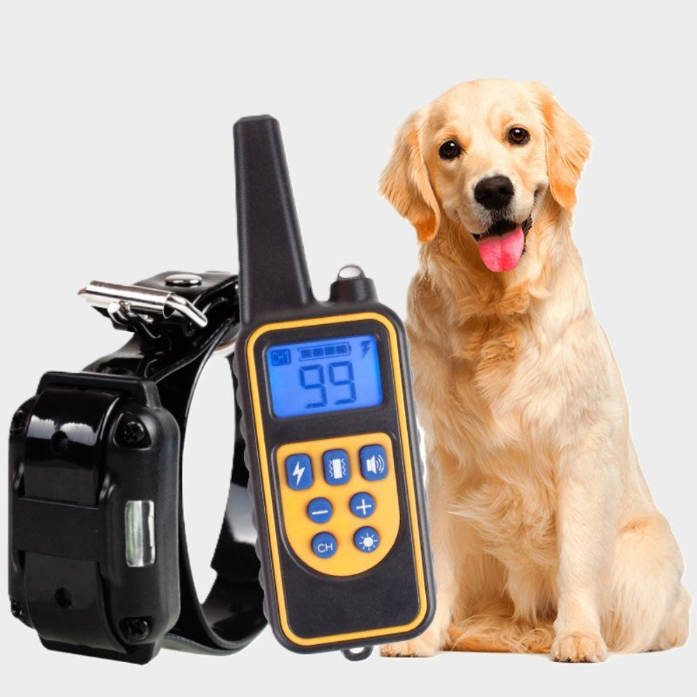 Wasserdichtes Hundetraining-Halsband mit Fernbedienung