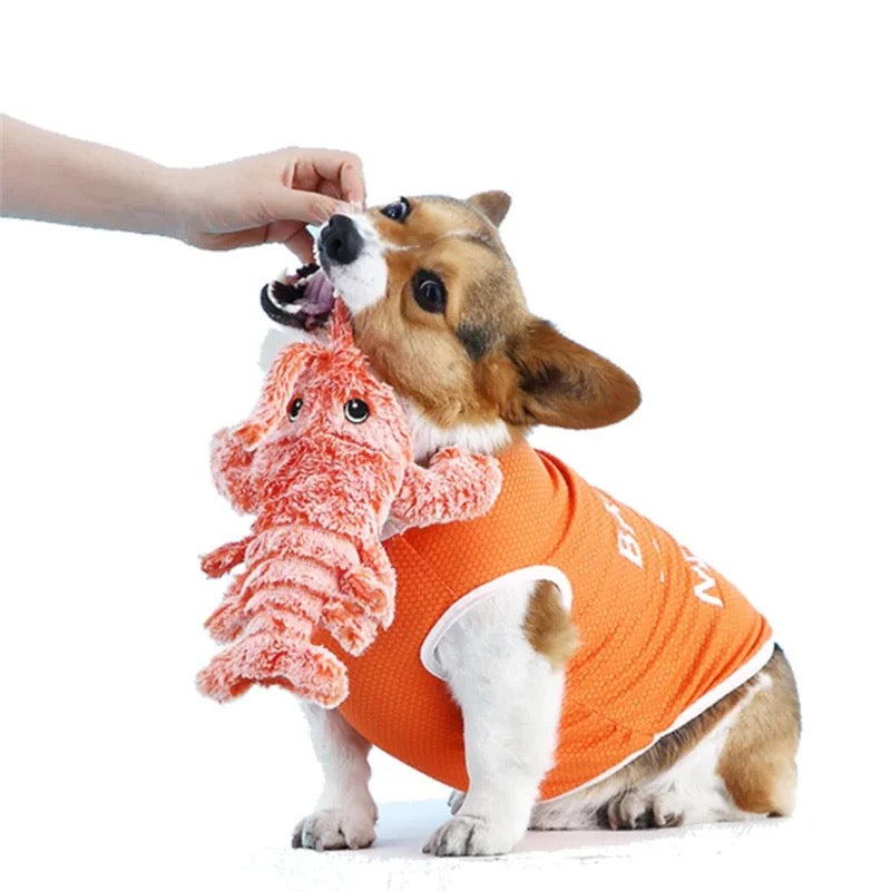 Spielfreude für Ihren Hund – Interaktives Tierchen