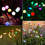 Sonnige Glanzlichter für Ihren Garten