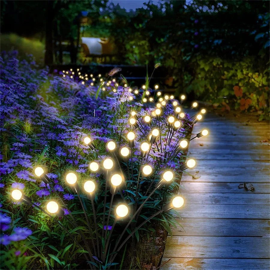 Sonnige Glanzlichter für Ihren Garten
