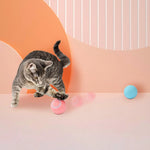 Interaktiver Spielball für Katzen mit Musik und LED