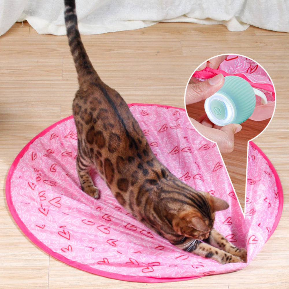 Interaktiver Spielball für Katzen mit Musik und LED
