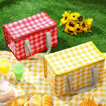 Stylish and insulated picnic bag for fresh snacks