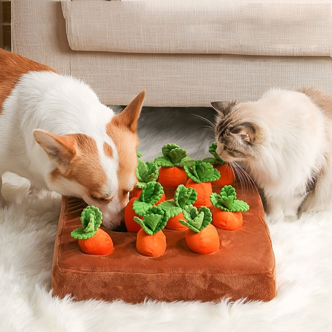 Kreatives Suchspielzeug für Hunde – Spaß und Intelligenztraining
