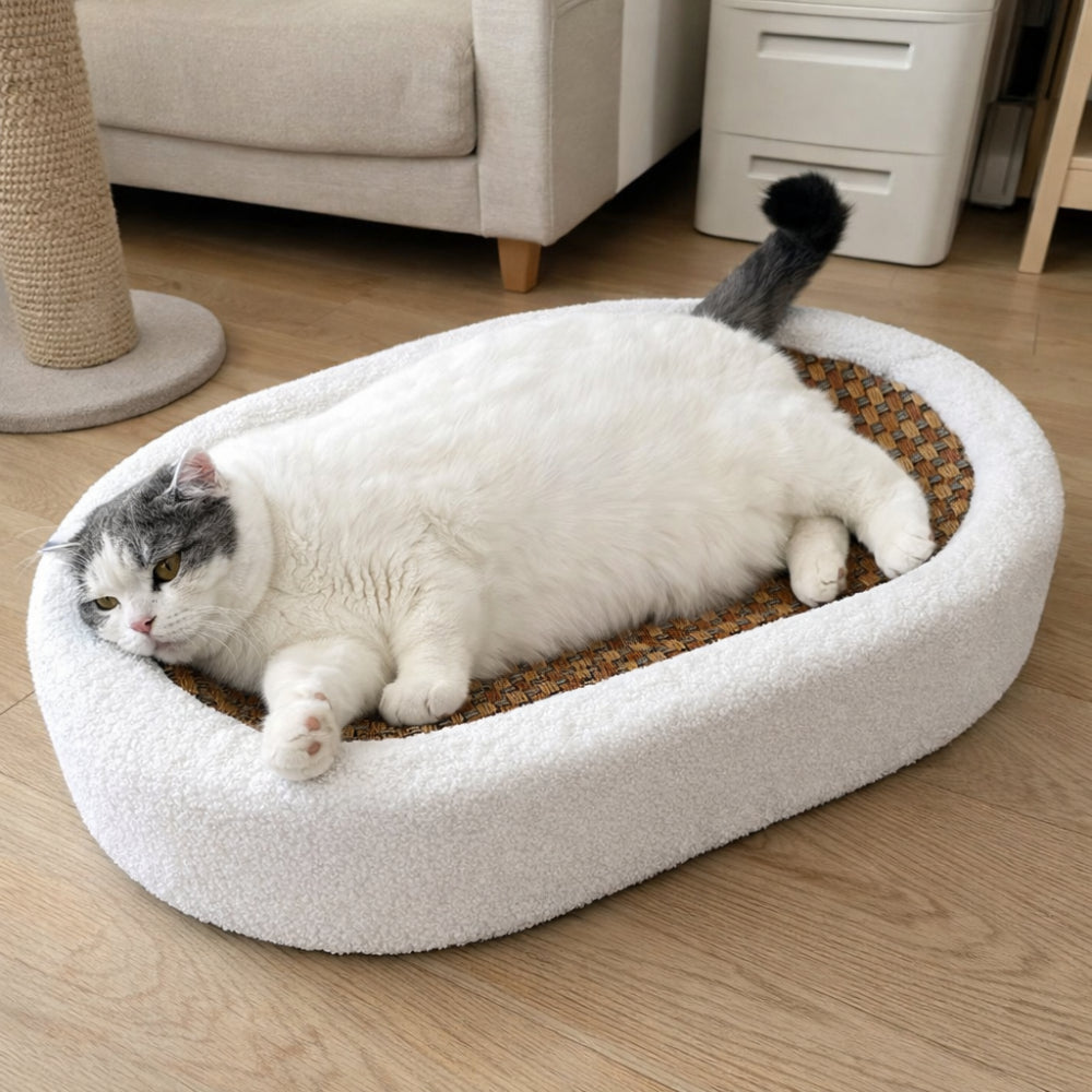 Katzenliege mit Integrierter Kratzfläche für Innenräume