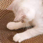 Rundes Katzenliege- und Kratzmöbel für Zufriedenheit und Spaß