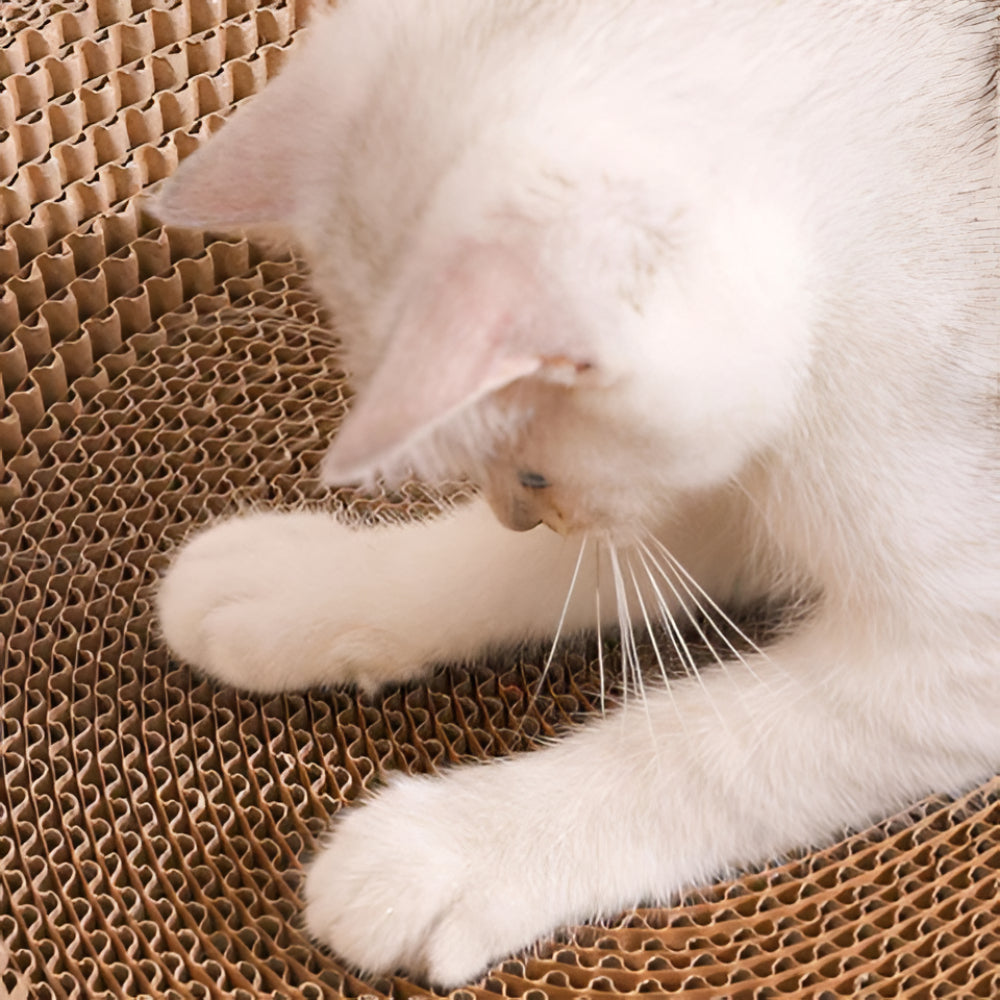 Rundes Katzenliege- und Kratzmöbel für Zufriedenheit und Spaß