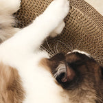 Rundes Katzenliege- und Kratzmöbel für Zufriedenheit und Spaß