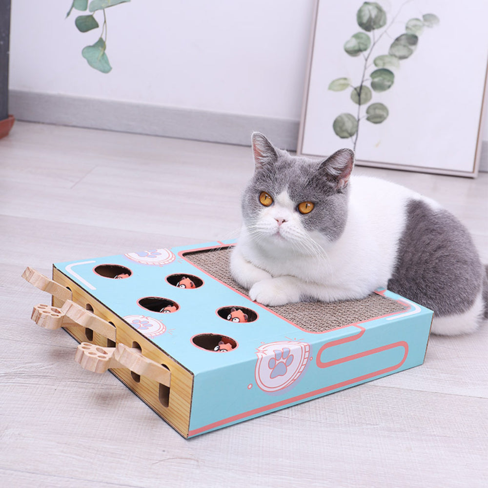 Interaktive Spielstation für Katzen aus robuster Wellpappe