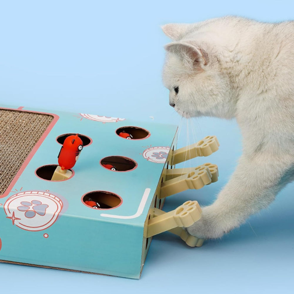 Interaktive Spielstation für Katzen aus robuster Wellpappe