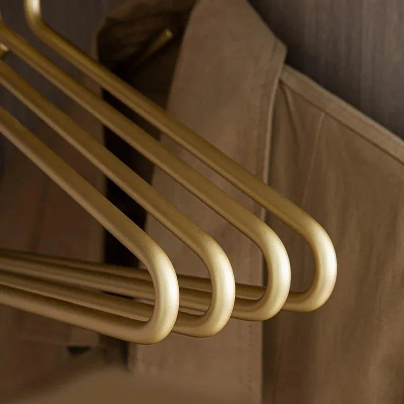 Stylish Metal Clothes Hangers for Elegant Storage (5 pieces)