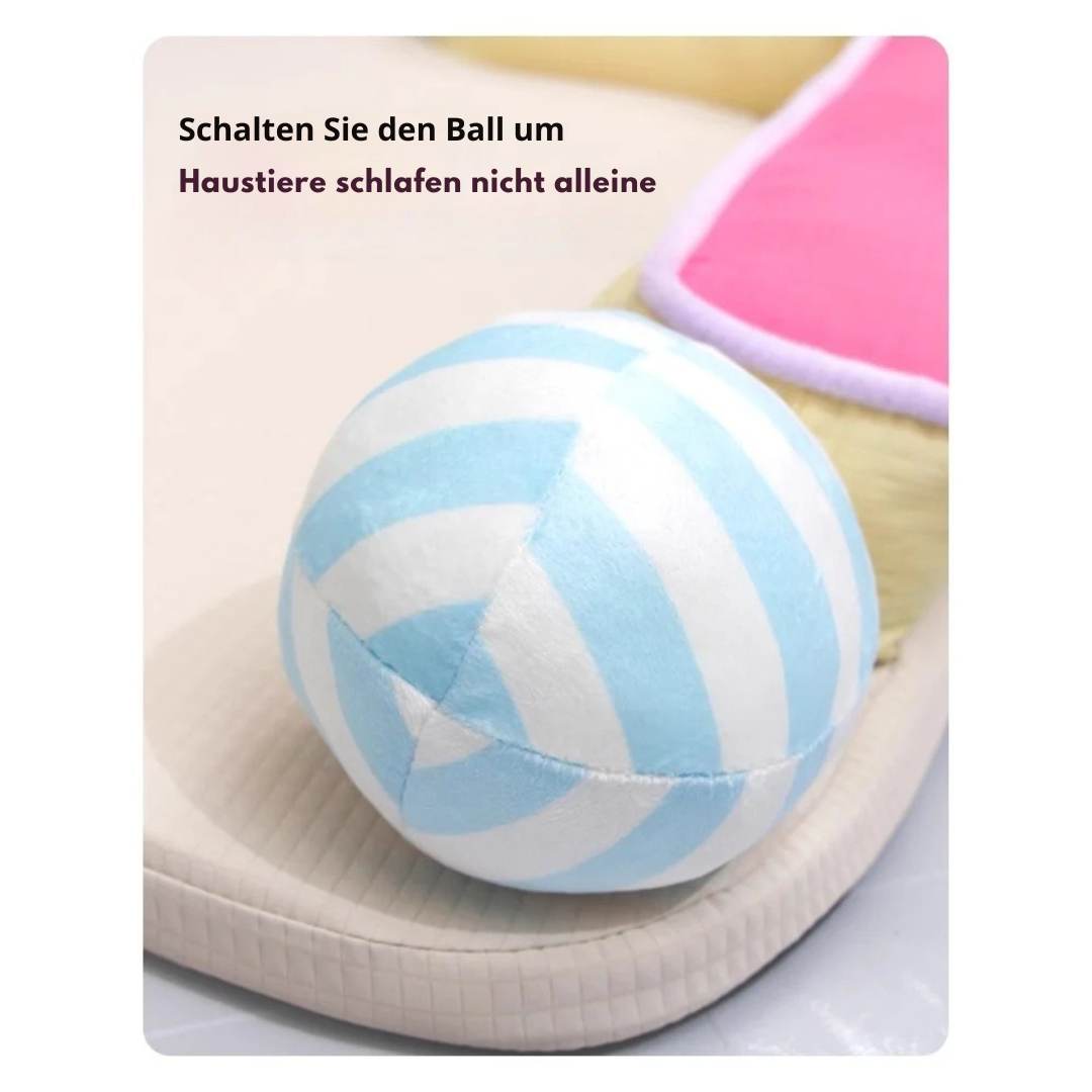 Waschbarer und atmungsaktiver Tierteppich