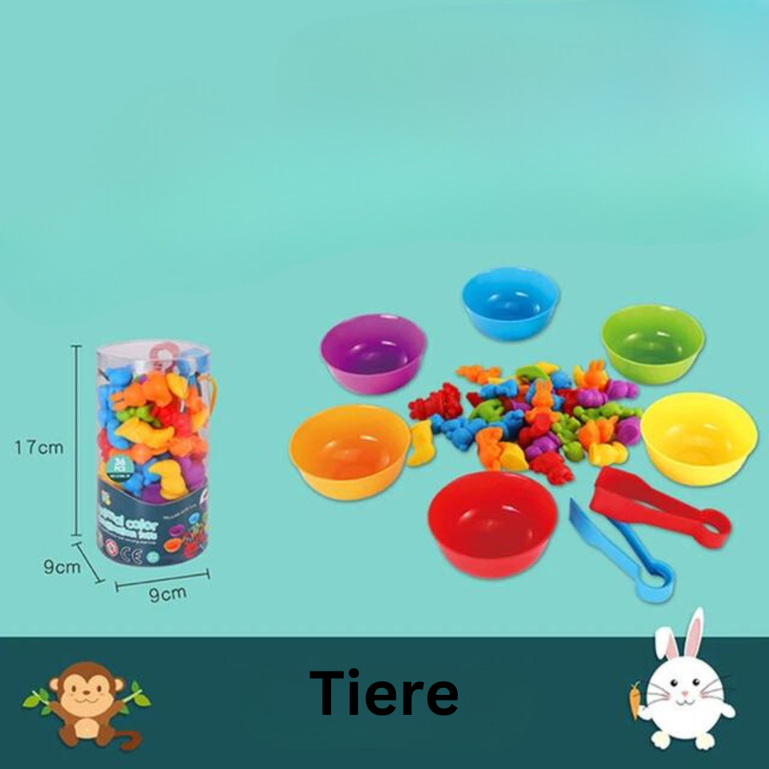 Buntes Sortierspiel nach Montessori-Prinzipien