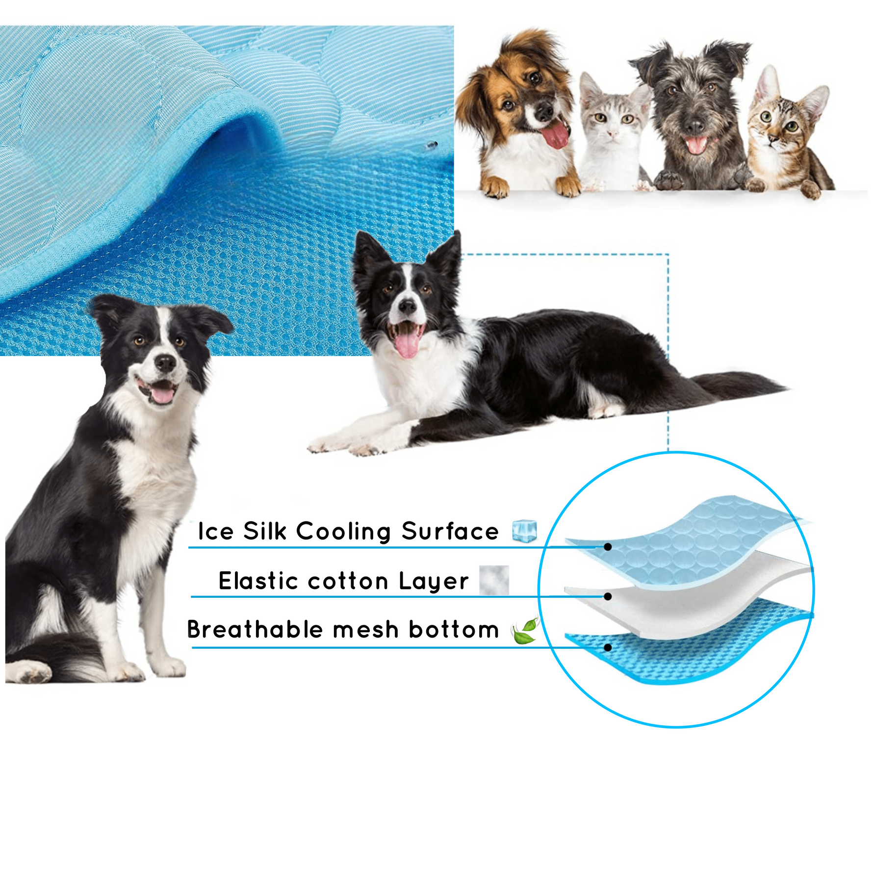 Kühlmatte für Hunde und Katzen – Bequeme Selbstkühlende Matte für Haustiere