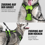 Sichere LED-Hundegeschirr | Verstellbare Passform | Robustes Material