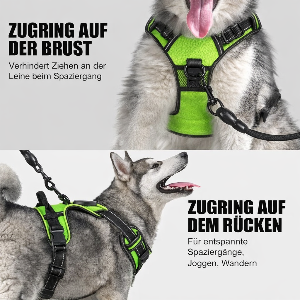 Sichere LED-Hundegeschirr | Verstellbare Passform | Robustes Material