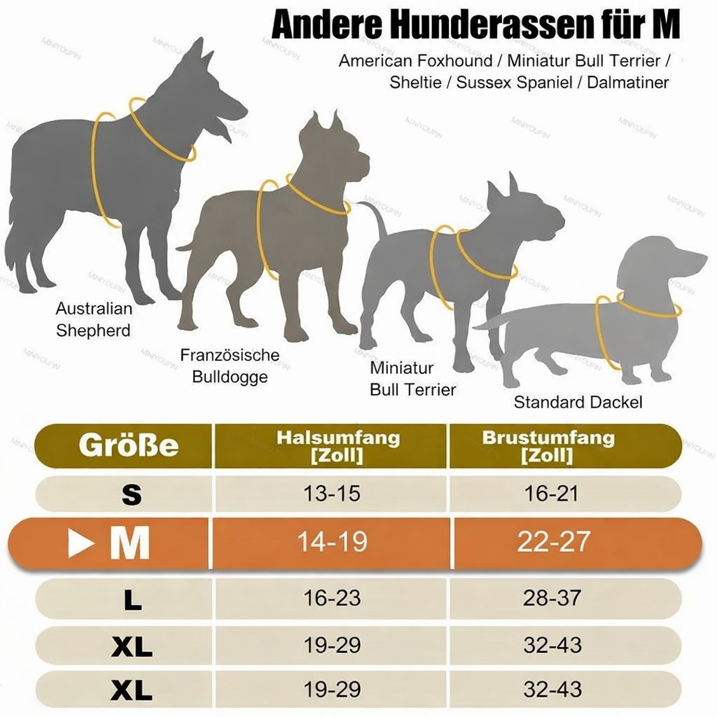 Sichere LED-Hundegeschirr | Verstellbare Passform | Robustes Material