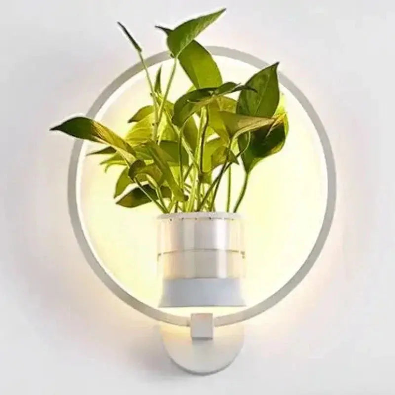 Wandlicht für Pflanzen mit Glaspflanzgefäß | Warmes Licht | Dekorative Wandakzent