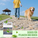 Wetterfester Landschaftsfixierer – Schnelltrocknend und Zuverlässig