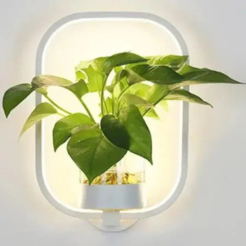 Wandleuchte mit LED und integriertem Glasvase – Rund & Oval
