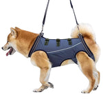 LiftHound | Support Harness for Rehabilitation and Recovery