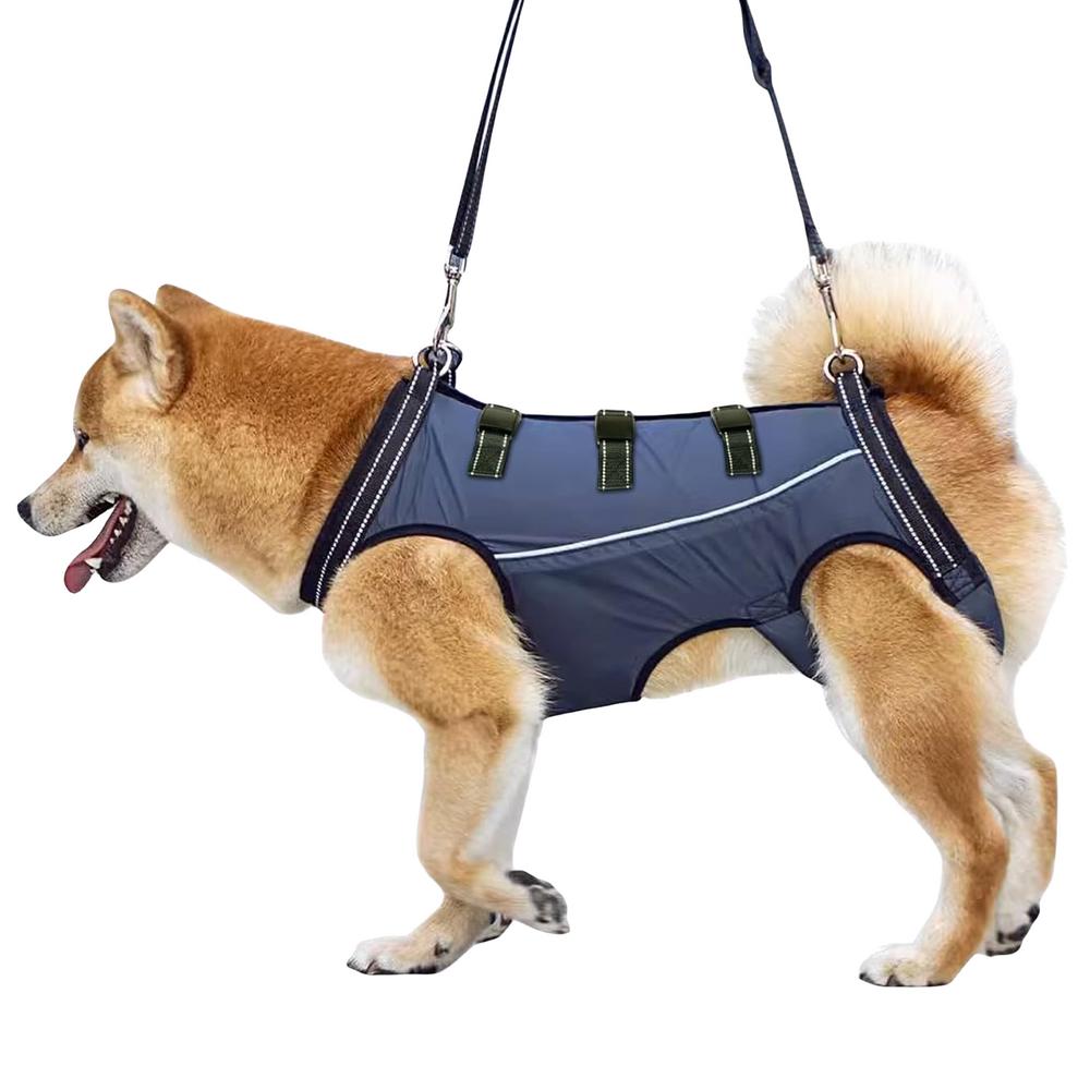 LiftHound | Support Harness for Rehabilitation and Recovery
