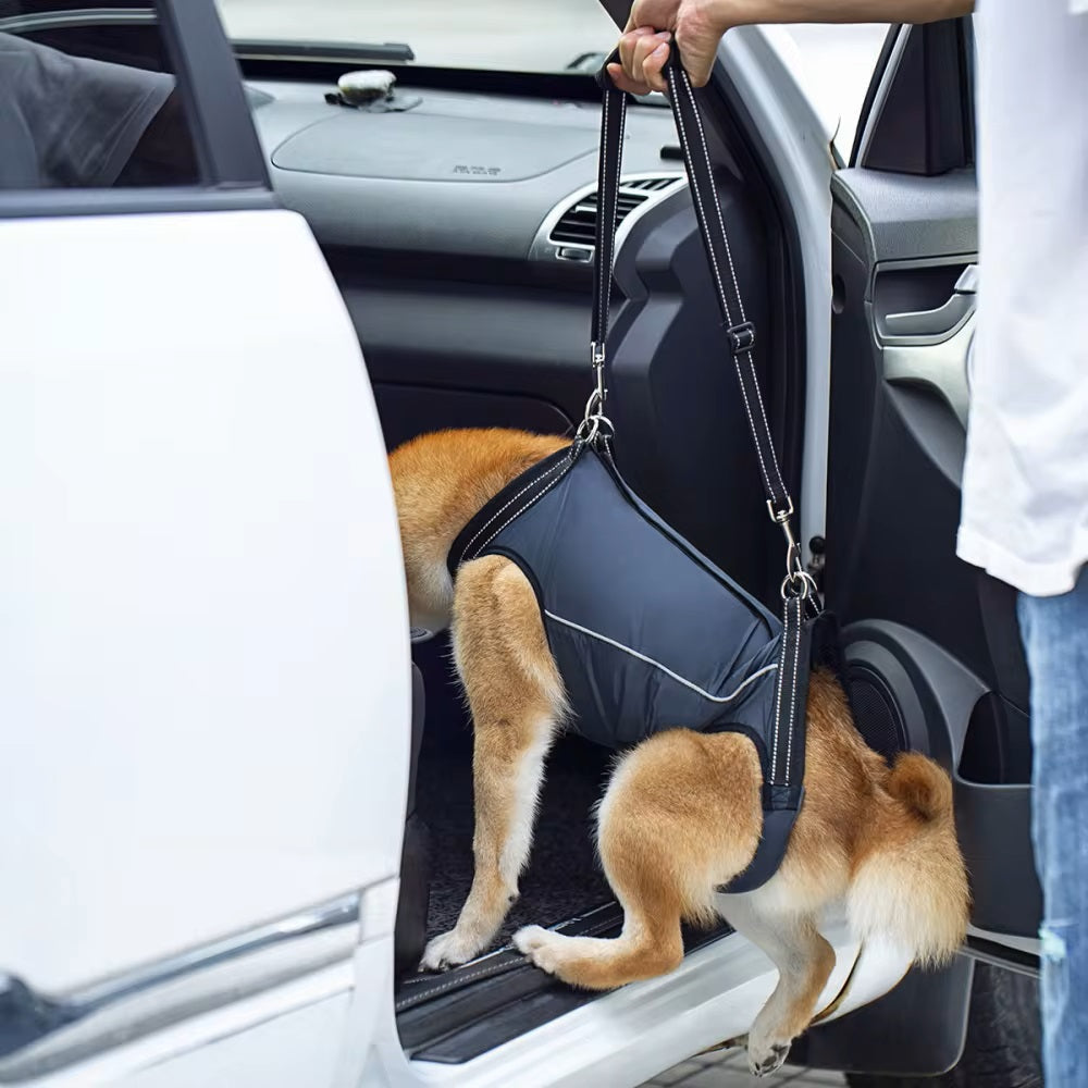 LiftHound | Support Harness for Rehabilitation and Recovery