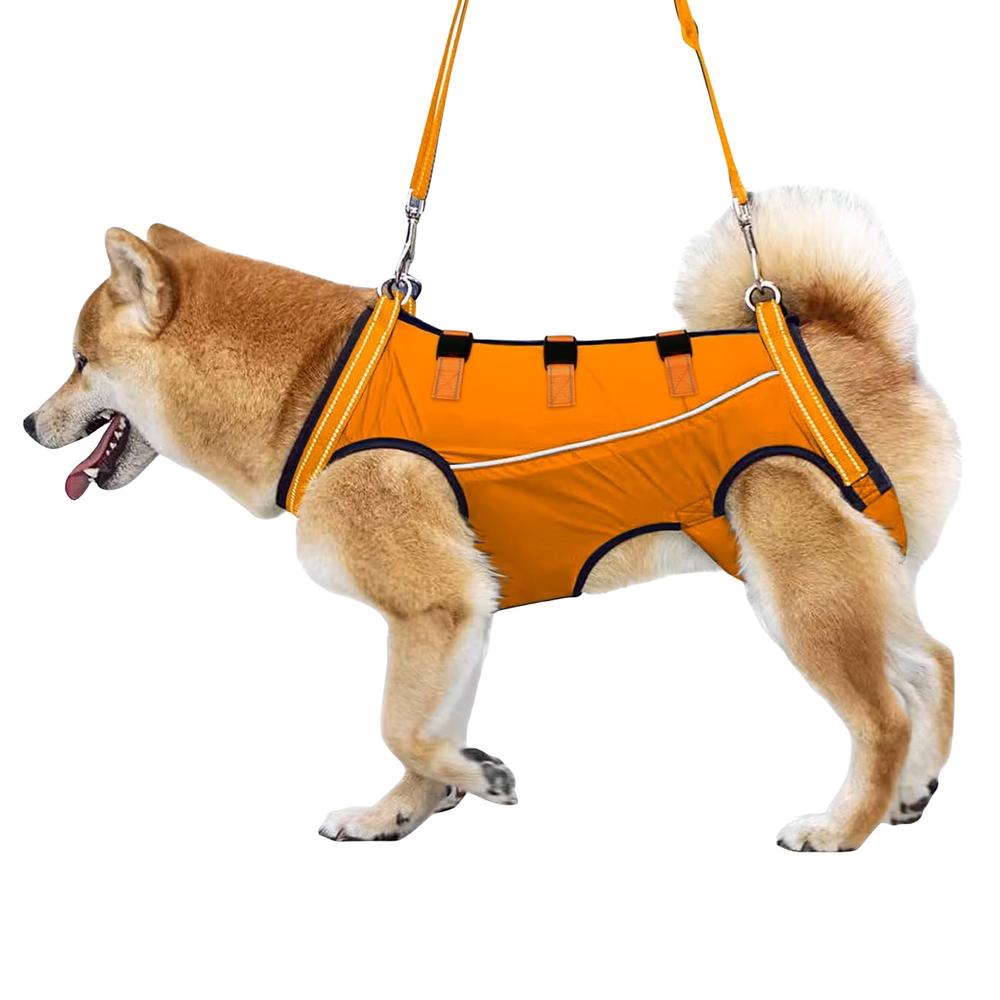 LiftHound | Support Harness for Rehabilitation and Recovery