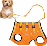 LiftHound | Support Harness for Rehabilitation and Recovery