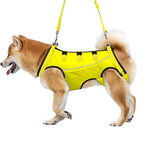 LiftHound | Support Harness for Rehabilitation and Recovery