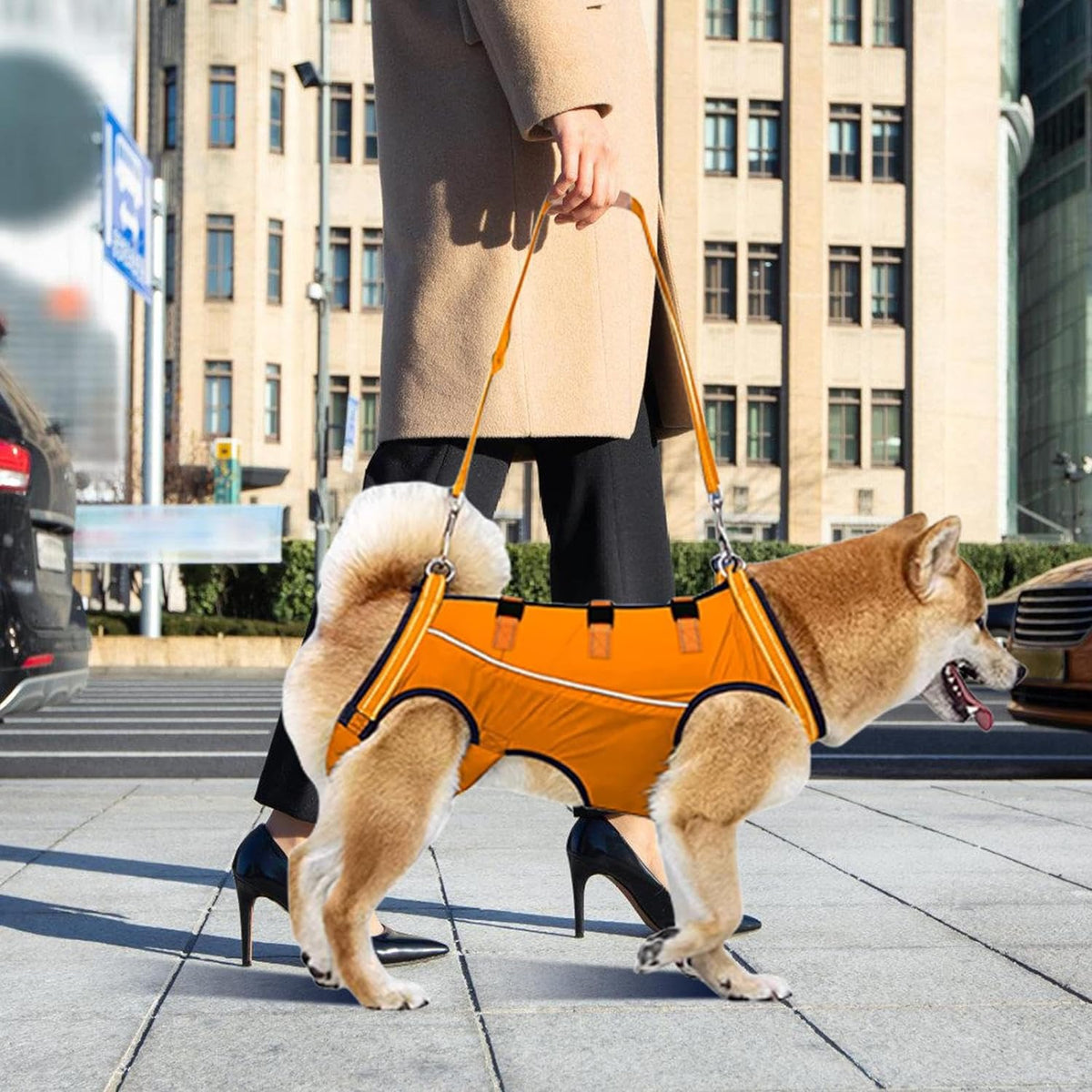 LiftHound | Support Harness for Rehabilitation and Recovery