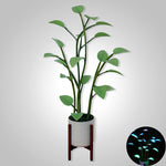 Glanzende Blüte | Magische LED-Pflanze