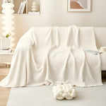 Elegant, Non-Slip Sofa Cover for Pets