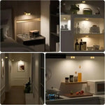 1 Kaufen, 1 Gratis | Magnetische LED-Bilderleuchte – Perfekte Kunstbeleuchtung