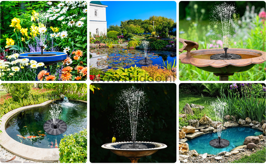 Solar-Powered Garden Water Feature | Sustainable Water Dispenser for Birds and Ponds