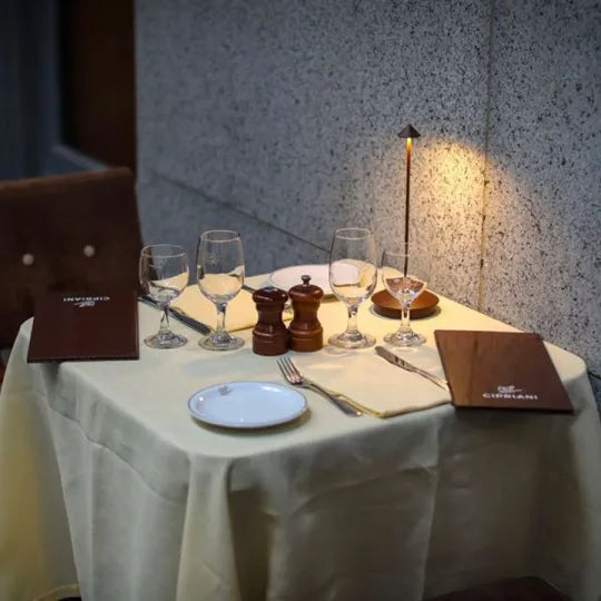Elegant cordless LED table lamp in a modern design