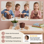 Formenrätsel und 3D Holz-Logikspiel