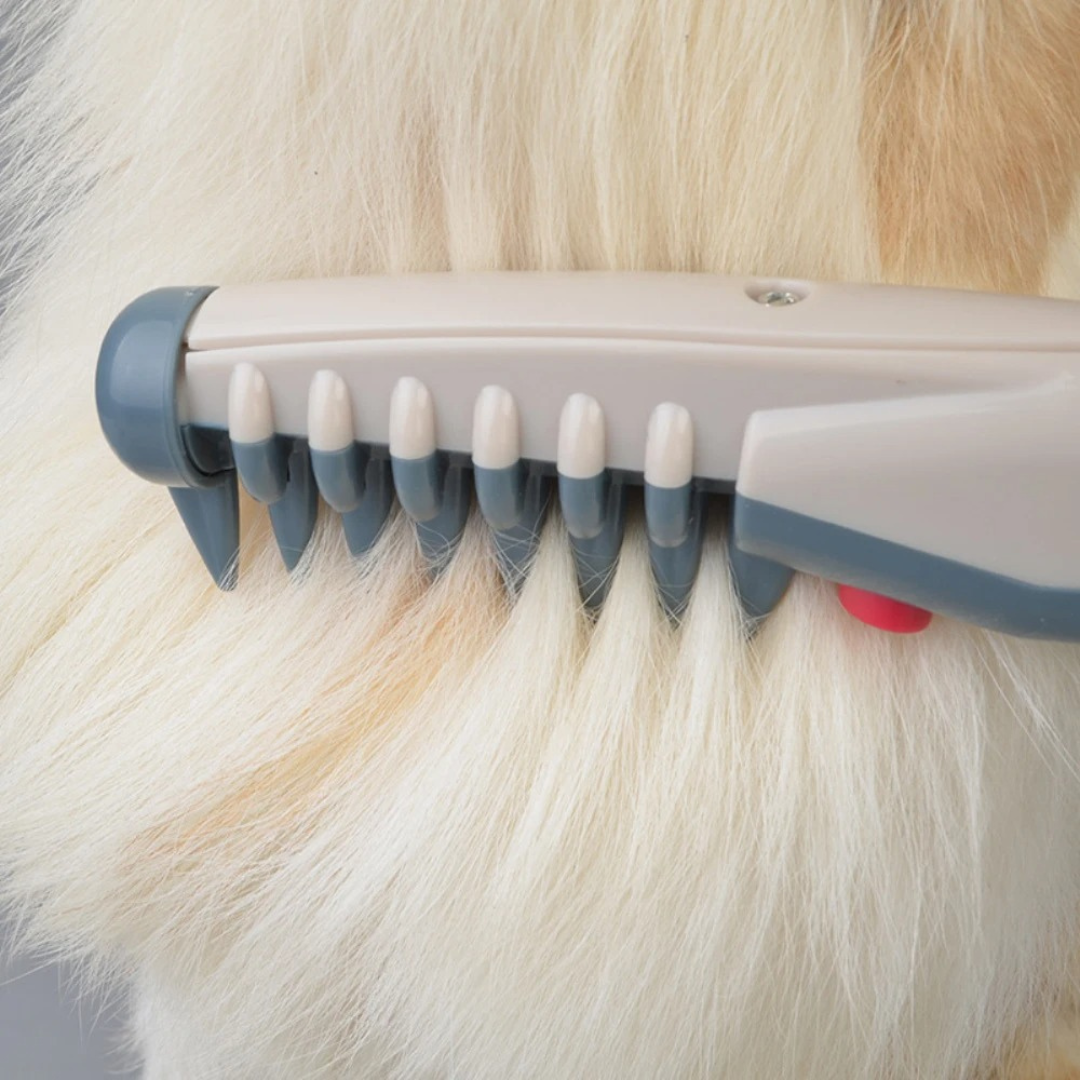 Haartrimmer für Haustiere – Sanftes Schneiden für Katzen und Hunde aller Fellarten