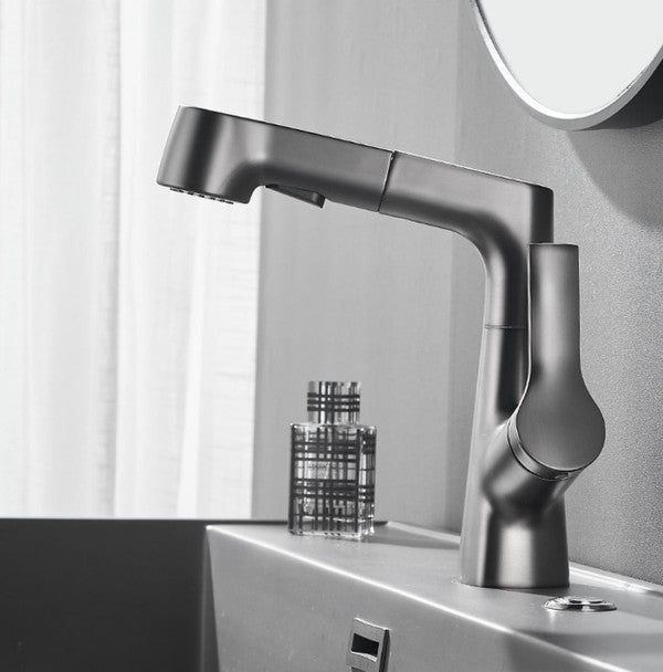 Stylish bathroom faucet with flexible spray hose