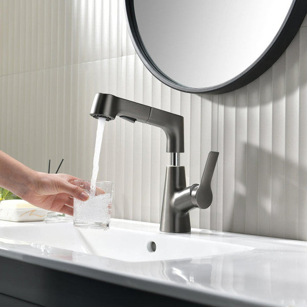 Stylish bathroom faucet with flexible spray hose