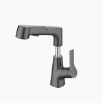 Stylish bathroom faucet with flexible spray hose